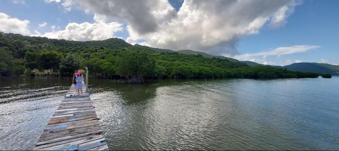 Latansa Inn Karimunjawa Εξωτερικό φωτογραφία